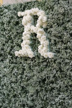 the letter d is made out of white flowers on top of a green plant wall