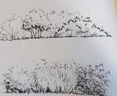 two drawings of trees and bushes on paper