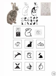 an animal alphabet worksheet with pictures and numbers for kids to learn how to draw