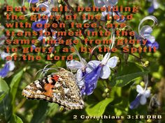 a butterfly sitting on top of a purple flower next to a quote from the lord