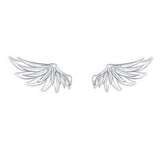 two white wings are shown on a white background, one is drawn in pencil and the other is drawn with black ink