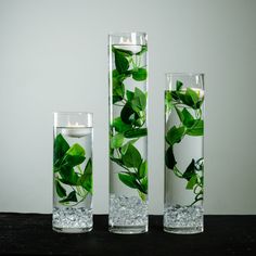 three vases with plants in them sitting on a table next to candles and water