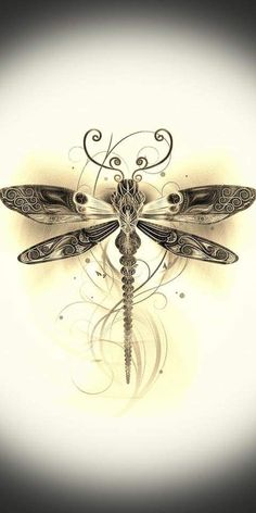 a drawing of a dragonfly with intricate designs on it's wings and tail