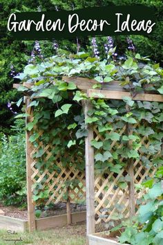 an outdoor garden with plants growing on it and the words garden decor ideas above it