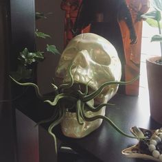 there is a skull with an octopus on it's head and some plants in front of it