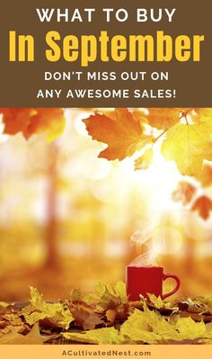 a cup of coffee with the words what to buy in november don't miss out on any awesome sales