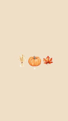 an orange pumpkin and two maple leaves on a beige background