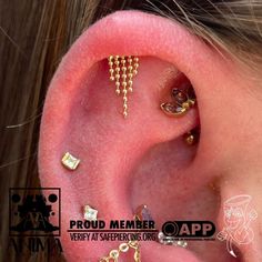 the ear is adorned with many different types of piercings