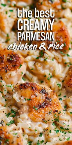 the best creamy parmesan chicken and rice