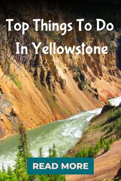 the top things to do in yellowstone read more on this page than you'd think