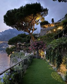 a lush green lawn next to the water