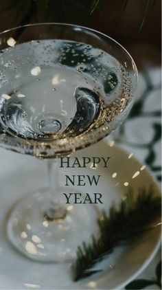 a close up of a wine glass on a plate with the words happy new year