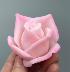 a pink rose being held in the palm of someone's hand, on a gray background