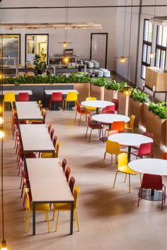 an empty restaurant with tables and chairs in the middle, plants growing on the wall