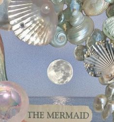 closeup of shuffle collage with seashells, the ocean, the moon and pearls, mermaid aesthetic Pink Surfing Aesthetic, Mermaidcore Aesthetic Wallpaper, Nymphaea Lotus, Mermaidcore Aesthetic, No Ordinary Girl, Mermaid Core, Real Mermaids, Mazzy Star, Mermaid Aesthetic