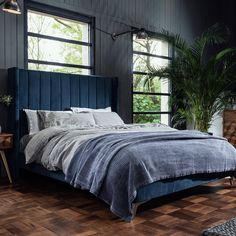 a bedroom with dark walls and wood floors, blue headboard, grey bedding