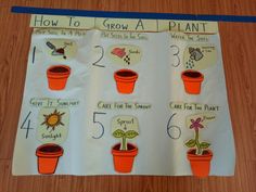 a poster showing how to grow a plant