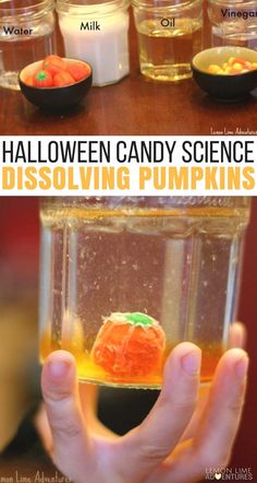 halloween candy science dissolving pumpkins