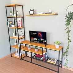 a living room with a tv and shelves on the wall, plants in pots next to it