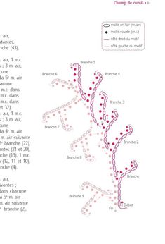 the diagram shows how many different types of cells are connected to each other, and what they