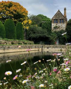 flowers are growing in the foreground and an old building is in the background