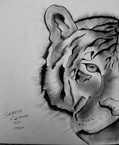 #fashionSketch of tiger #tiger #sketchbook #sketch #newborn #eyes