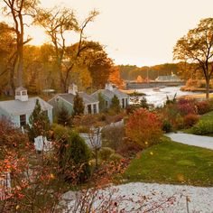 a view of some houses and trees in the background with a body of water behind them