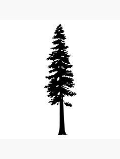 a black and white silhouette of a tall pine tree with the top half turned down