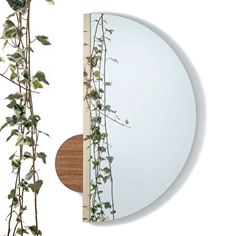 a mirror with vines growing on it next to a wall mounted planter and round mirror