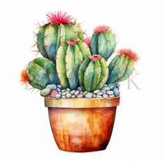 a watercolor painting of a cactus in a pot with rocks on the bottom and green leaves