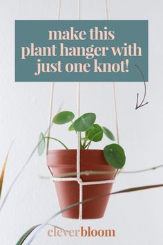 a potted plant hanging from a rope with the words make this plant hanger with just one knot