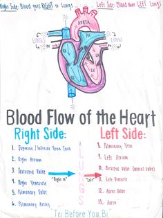 a poster with the words blood flow of the heart right side and left side on it