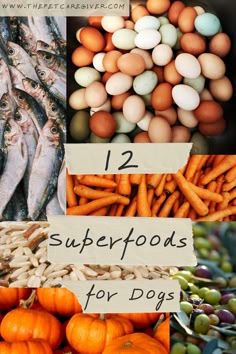 an assortment of foods that include eggs, carrots and other vegetables with the words 12 superfoods for dogs