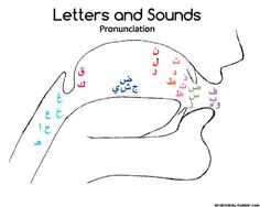 letters and sounds in the human ear