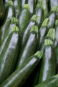 cucumbers are arranged in rows on display