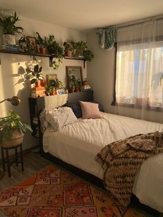 a bed sitting in a bedroom next to a window with plants on top of it