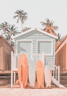 three surfboards are lined up in front of a small beach hut with palm trees