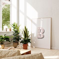 a living room filled with plants next to a window