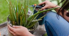 a woman is holding a potted plant in her hand while sitting on the ground