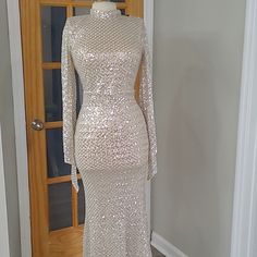 Long Gown, Size M, Nude White Silver Siqvents ,Long Sleeve Fitted Champagne Gown With Sequins, Glamorous Long Sleeve Maxi Dress With Fitted Bodice, Fitted Full-length Sequin Maxi Dress, Fitted Long Sequin Dress For Wedding, Fitted Sequin Midi Dress For Wedding, Fitted Floor-length Sequin Maxi Dress, Glamorous Fitted Champagne Maxi Dress, Long Sleeve Champagne Dress With Sequins, White Full Length Party Dress