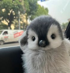 a stuffed animal sitting in the passenger seat of a car