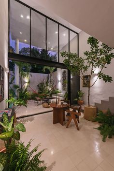 an indoor living area with plants and potted trees