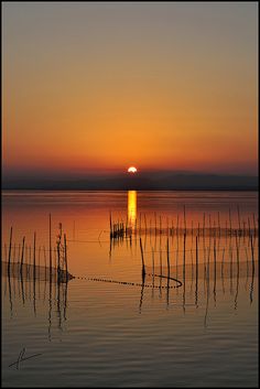 the sun is setting over the water and reeds