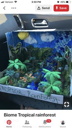 a box filled with fake plants in the back seat of a car, and an advertisement for tropical rainforest