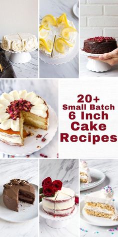 there are many different types of cakes on the table with text overlay that reads, 20 small batch 6 inch cake recipes