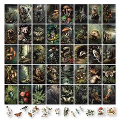 many different pictures of animals and plants in the same square shape, all on separate squares