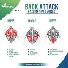 the back and shoulder muscles are shown in this poster, which shows how each muscle works