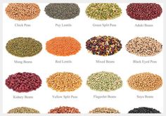 different types of beans and cereals are shown in this chart, with the names below