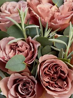 a bouquet of pink roses with green leaves