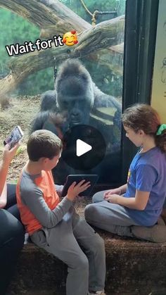 three children are playing with an ipad in front of a gorilla